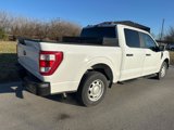 Used 2022 Ford F150 XL w/ Equipment Group 101A High image 3