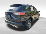 Certified 2022 Ford Escape SEL image 6