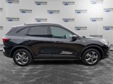 New 2025 Ford Escape ST-Line w/ Tech Pack #1 image 6