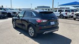 Used 2022 Ford Escape SEL image 5