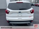 Used 2019 Ford Escape SE image 4
