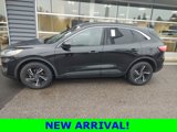 Used 2020 Ford Escape SE image 2