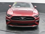 Used 2019 Ford Mustang Premium w/ Pony Package image 2