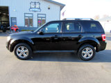 Used 2010 Ford Escape Limited image 2