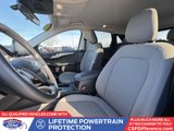 Used 2021 Ford Escape SE w/ SE Sport Appearance Package image 4
