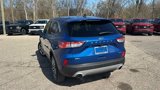 Used 2022 Ford Escape SEL image 5