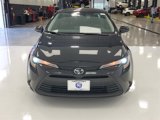 Used 2024 Toyota Corolla LE image 2