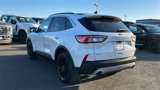 Used 2021 Ford Escape SEL image 5