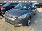 Used 2014 Ford Escape SE image 3