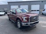 Used 2017 Ford F150 XLT w/ Equipment Group 302A Luxury image 3