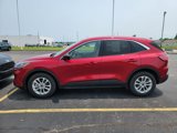 Used 2022 Ford Escape SE image 6