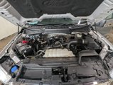 Used 2022 Ford F150 XLT w/ Equipment Group 302A High image 3