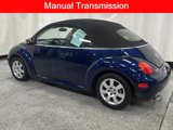 Used 2003 Volkswagen Beetle GLX image 3