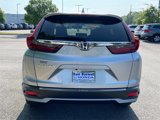 Used 2017 Hyundai Elantra SE image 4