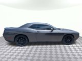 Used 2018 Dodge Challenger SXT w/ Blacktop Package image 2
