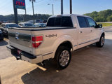 Used 2010 Ford F150 Platinum image 5