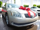Used 2004 Nissan Maxima 3.5 SL w/ Driver Preferred Pkg image 3