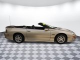 Used 2001 Chevrolet Camaro Z28 w/ Sport Appearance Pkg image 4