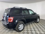 Used 2010 Ford Escape XLT image 5