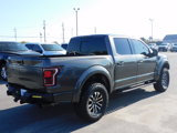 Used 2017 Ford F150 Raptor w/ Equipment Group 802A Luxury image 5