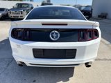 Used 2014 Ford Mustang Coupe w/ Equipment Group 102A image 4