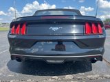Used 2017 Ford Mustang Premium image 6