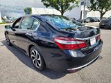 Used 2016 Honda Accord EX-L image 3