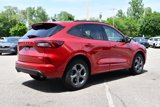 Used 2023 Ford Escape ST-Line w/ Tech Pack #1 image 6