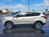 Used 2019 Ford Escape Titanium image 4