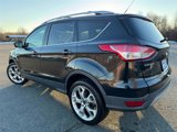 Used 2013 Ford Escape Titanium image 3
