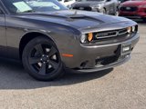 Used 2015 Dodge Challenger SXT w/ Sound Group image 3