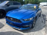 Used 2017 Ford Mustang Premium w/ Equipment Group 201A image 4