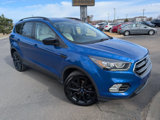 Used 2018 Ford Escape SEL w/ SEL Sport Appearance Package image 3