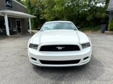 Used 2013 Ford Mustang Coupe w/ V6 Performance Pkg image 2
