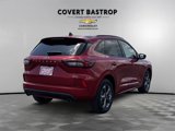 Used 2023 Ford Escape ST-Line w/ Tech Pack #1 image 6