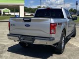 Used 2016 Ford F150 XLT w/ Equipment Group 302A Luxury image 3