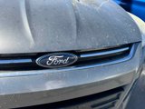 Used 2014 Ford Escape Titanium image 5