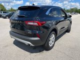 Used 2023 Ford Escape Active w/ Tech Pack #1 image 4
