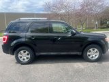 Used 2012 Ford Escape Limited image 2