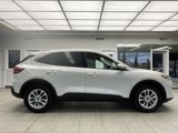 Used 2020 Ford Escape SE image 4