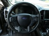 Used 2017 Ford F150 XLT w/ Equipment Group 302A Luxury image 4