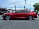 Used 2024 Cadillac CT5 Premium Luxury w/ Climate Package image 3