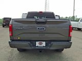 Used 2016 Ford F150 XLT w/ Equipment Group 302A Luxury image 5