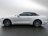 Used 2015 Ford Mustang Premium image 2