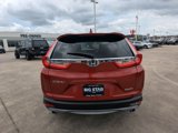 Used 2019 Honda CR-V Touring image 5