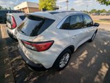 Used 2020 Ford Escape SE image 4