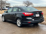 Used 2014 Ford Focus SE w/ SE Winter Package image 4