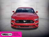 Used 2021 Ford Mustang Coupe w/ Equipment Group 101A image 2