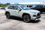 Used 2019 Toyota RAV4 Adventure image 4