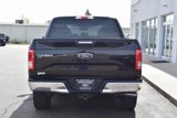 Used 2016 Ford F150 XLT image 5